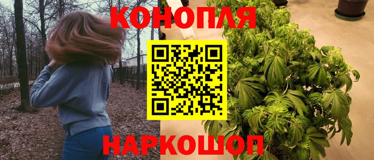 Бошки марихуана White Widow  Шишки марихуана индика  Гагарин  Вход с VPN  Шишки марихуана марихуана 
